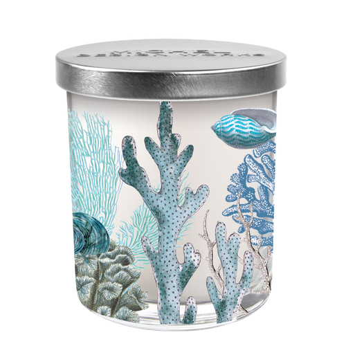 *Scented Jar Candles OCean Tide Michel Design Works