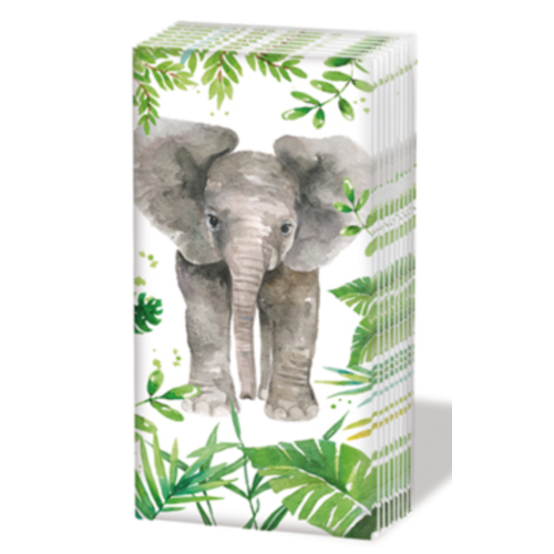 PPD Sniff Tissues - Tropical Elephant